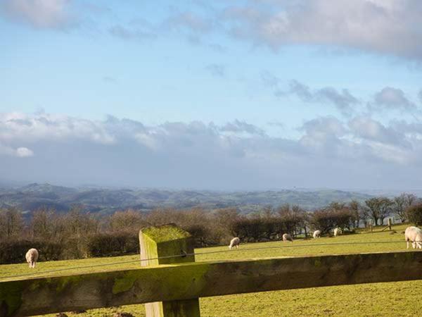 Valley View Lodge Trelystan Luaran gambar